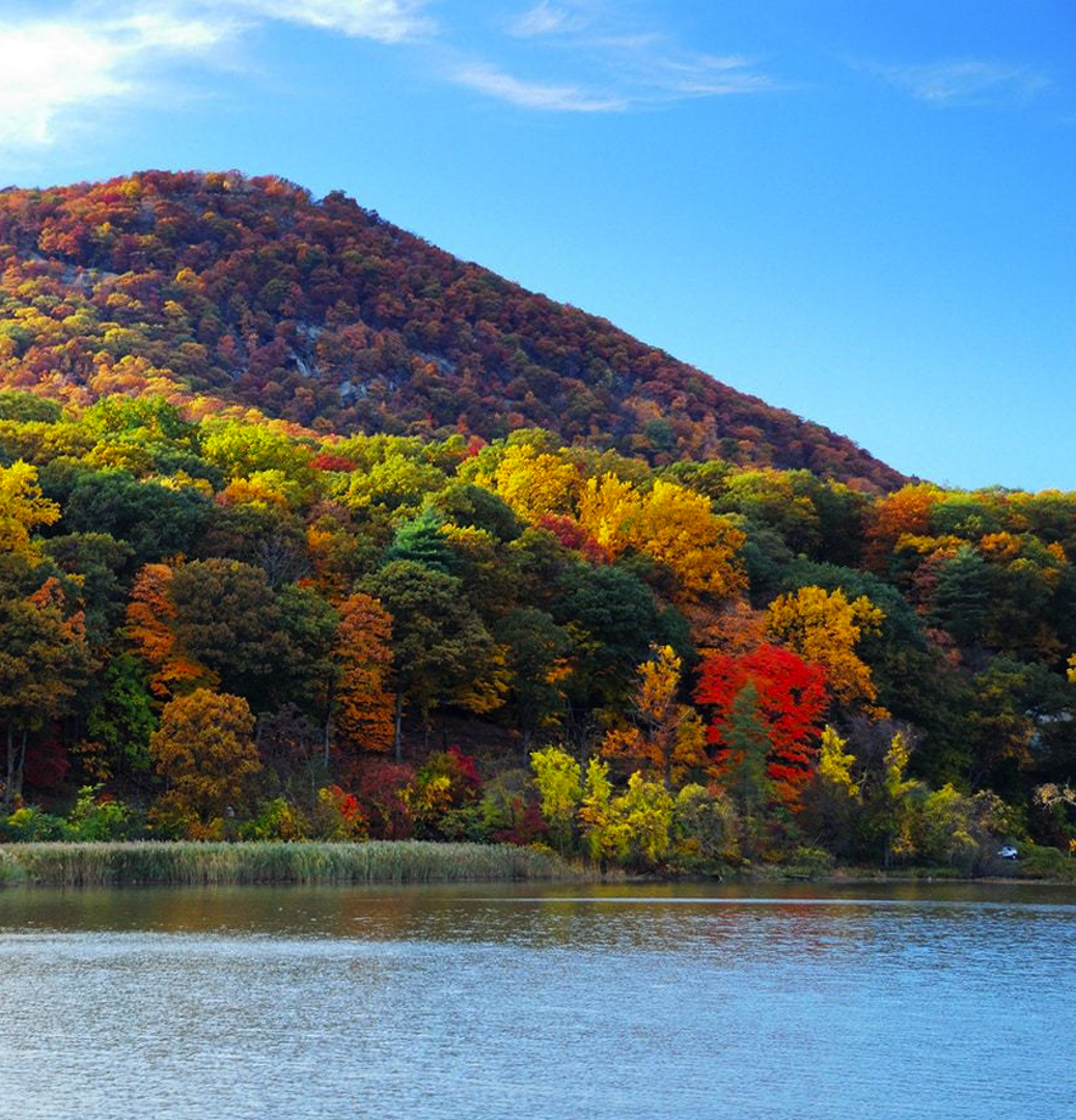 Sullivan County Real Estate & Homes For Sale, New York